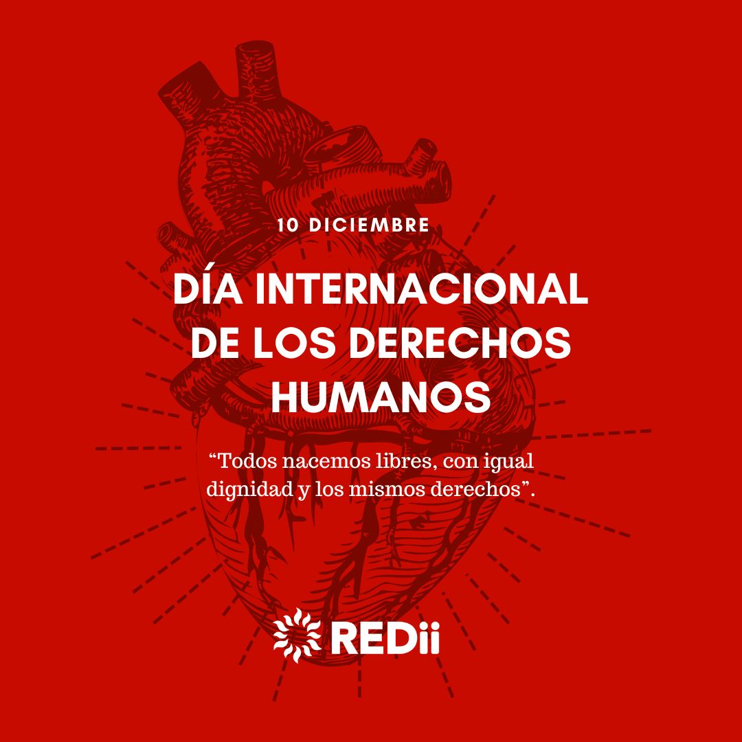 REDii tweet media