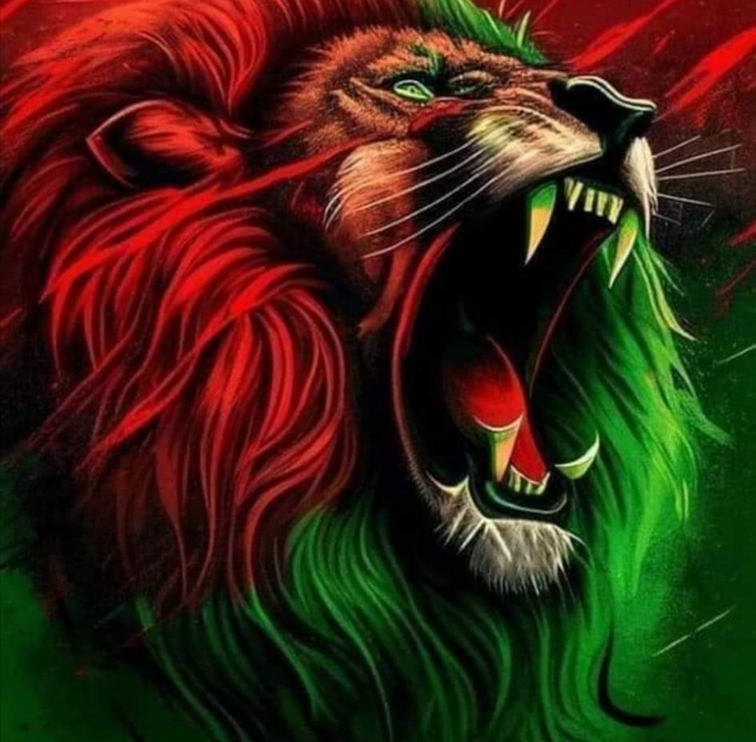 ilyas Ouassou (@ilyas_ouassou) on Twitter photo 