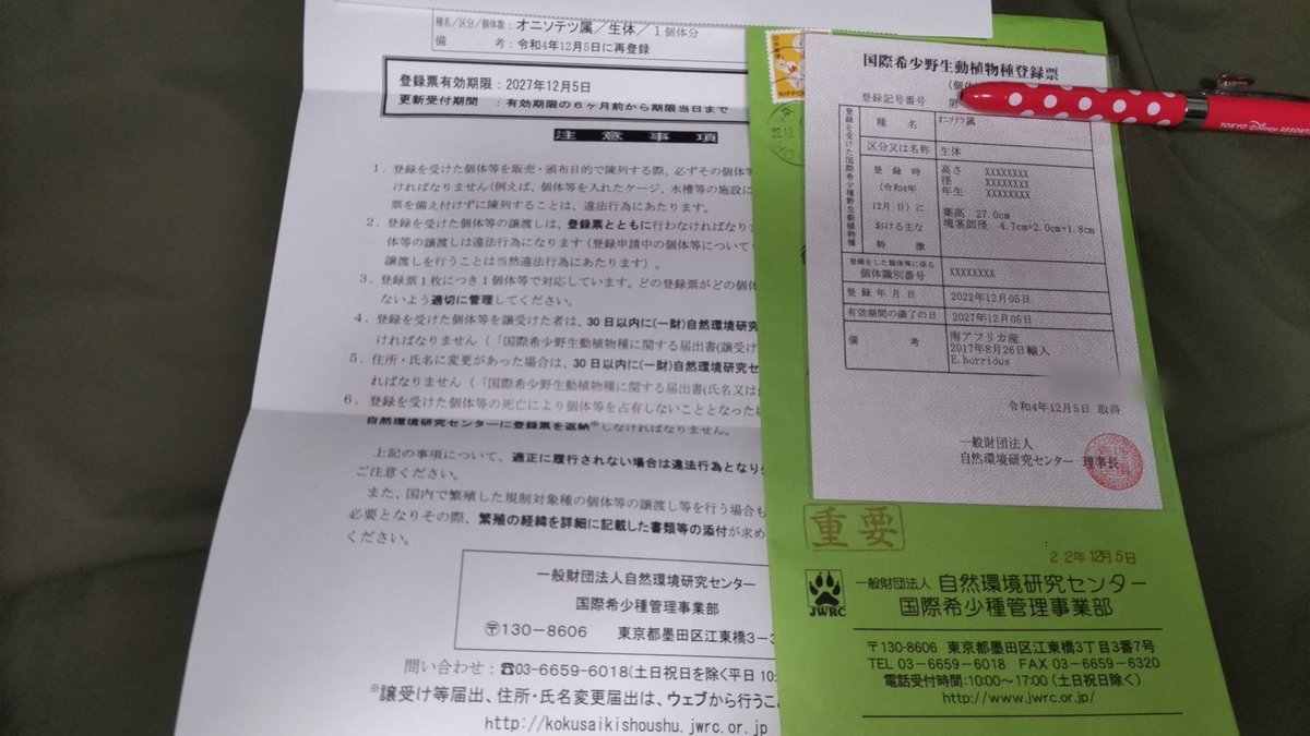 achang10182679's tweet photo. 登録票失効の再登録完了!!無事に新しい登録票が届きました。
再登録には旧登録票が必要です。

#ホリダス
#CITES1
#サイテス
#国際希少野生動植物種登録票 https://t.co/Q5KvqcqQJ5