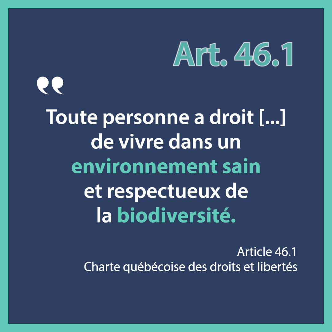 C'est la Journée internationale des droits de la personne! À cette occasion, on souhaite mettre de l'avant l'article 46.1 de la Charte québécoise, qui protège le droit de toute personne de vivre dans un #EnvironnemenSain et respectueux de la #biodiversité. #NotrePlanèteNosDroits