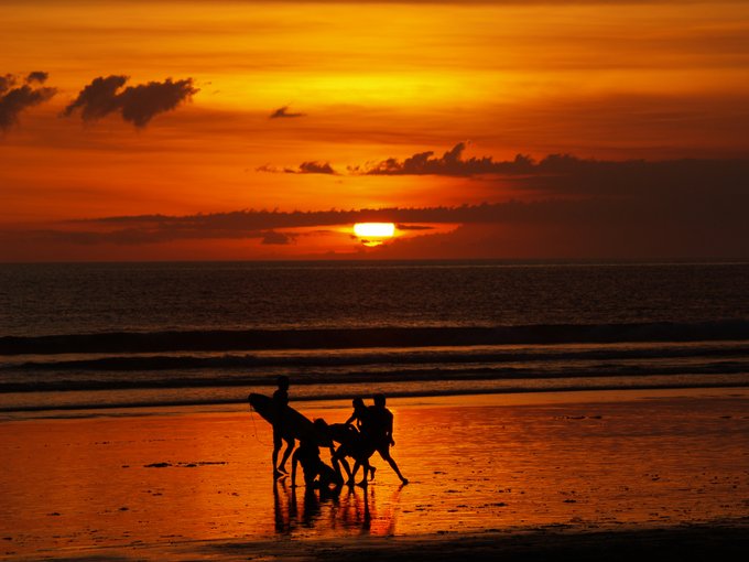 memorabilia_nft's tweet photo. ⚡ Beach Boys ⚡

Part of my Sunset Series

➡ 50% of sales will go back into the #NFTCommunity

👇 click 👇
https://t.co/lcw6yPOOaU #artwork #NFT #NFTart #sunset #nftcollector #cryptoartist #NFTs #wezenaar #rickwezenaar https://t.co/8PoVQPRkoZ