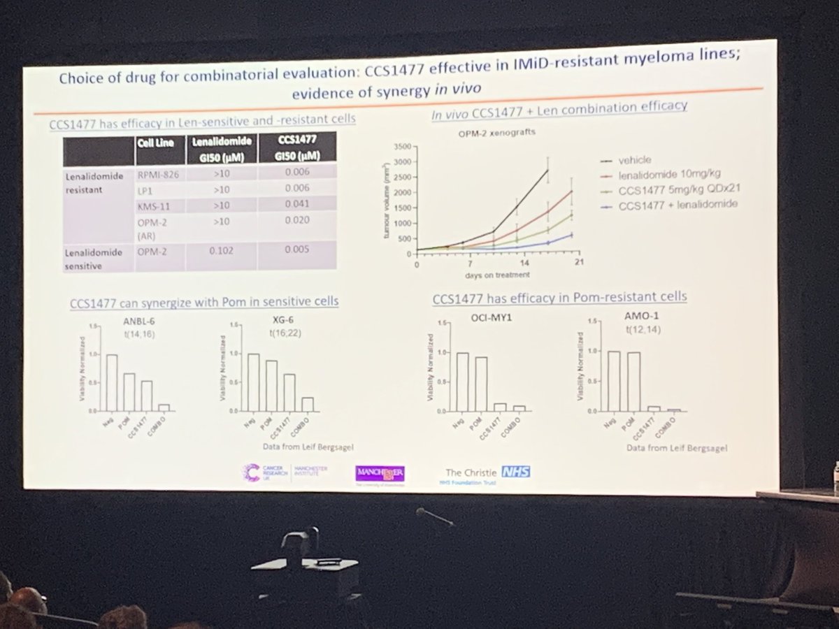 DrEmmaSearle's tweet photo. Prof Tim Somerville at #ASH22 presenting very elegant preclinical and early clinical data with inobrodib in multiple myeloma @OfficialUoM @CRUK_MI https://t.co/gH9AfJws1a