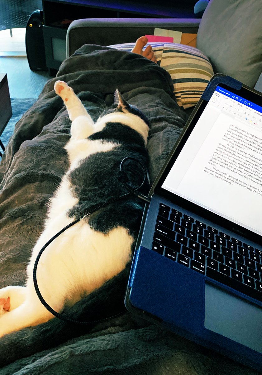 The best way to finish writing a paper for your Adolescent &amp; Child Development class is definitely with a sleeping cat on your lap! #gradschool