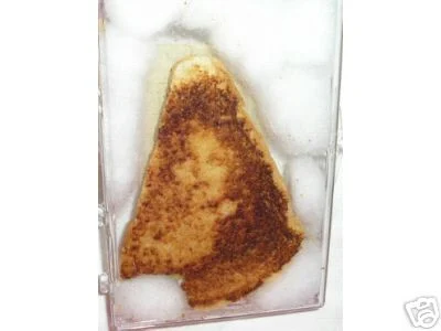 MomentableArt's tweet image. Hey there Collectors we are back with another unique collectible,
 in 2004 a grilled cheese sandwich that had the portrait of the Virgin Mary was sold for $28,000
The creator of the grilled cheese made it 10 years prior and stated it never went moldy. 
#collection #Collectables