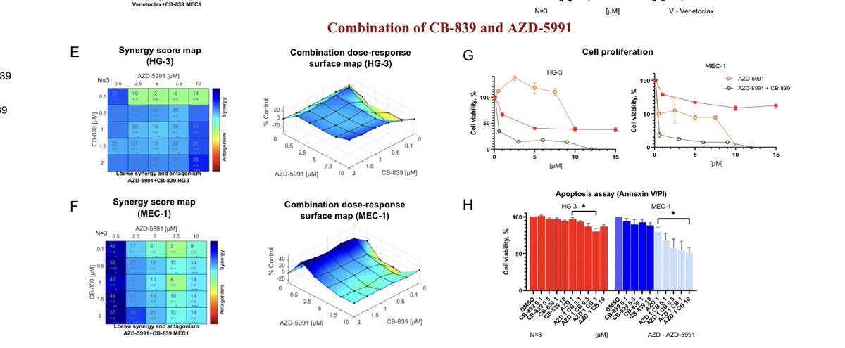 Natalia Timofeeva tweet media