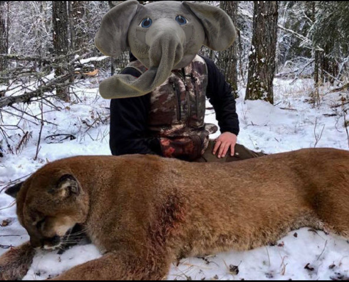 Alabama won the basketball game.