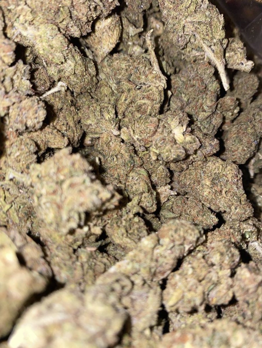 EldealMedicen's tweet photo. Relajado ando chill 🔥🤙🏼
Siempre es un buen trato conmigo, regulares de promoción 4️⃣2️⃣0️⃣✅
#weedpack
#420friendly
#weekendvibes https://t.co/wZDxOoPebi