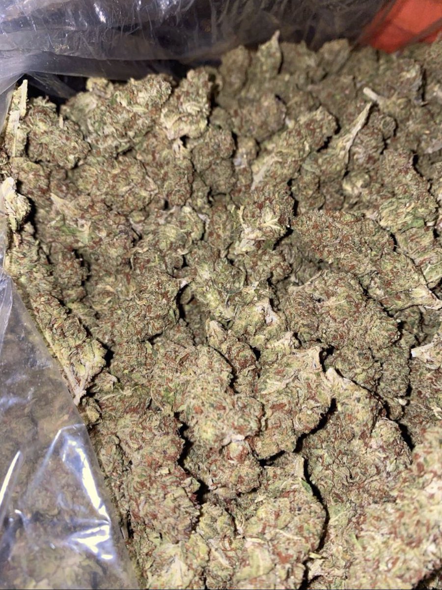 EldealMedicen's tweet photo. Relajado ando chill 🔥🤙🏼
Siempre es un buen trato conmigo, regulares de promoción 4️⃣2️⃣0️⃣✅
#weedpack
#420friendly
#weekendvibes https://t.co/wZDxOoPebi