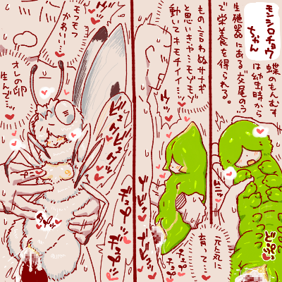 おはようございます。
～12/11の四日分の勝手に考えたもんむす手書きです。
虫系の子がいるので苦手な方はご注意ください。 