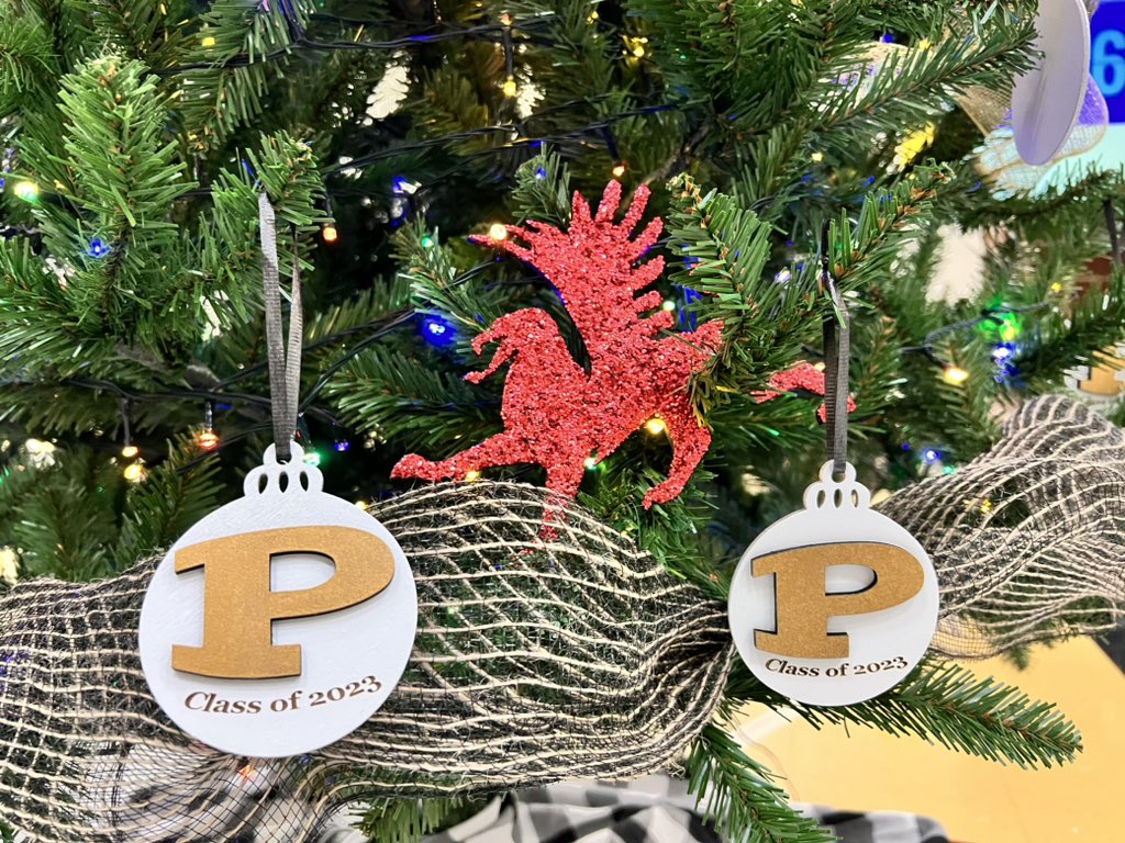 That time of the year! Finally putting the class of 2023 ornaments on the tree.