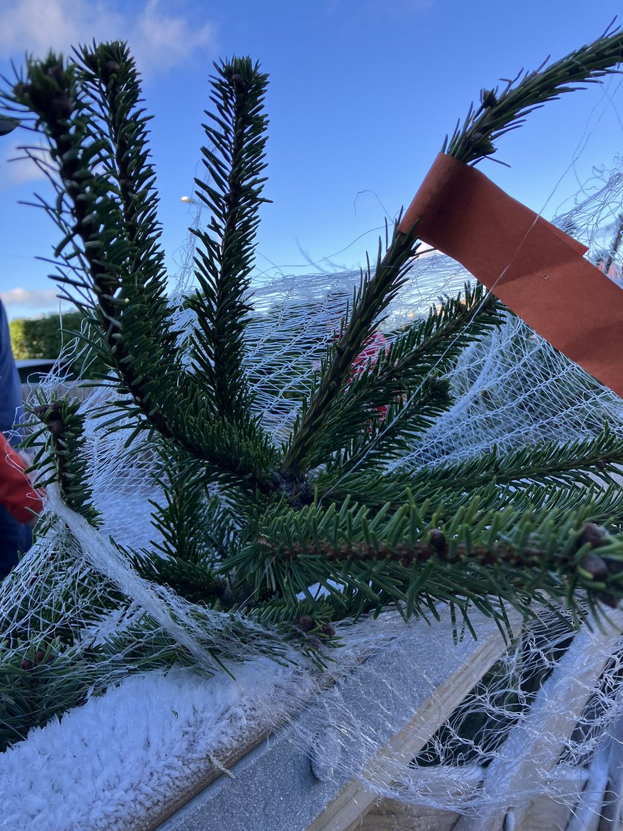 Thank you to everyone who supported our Christmas tree sales this year. All profits go towards helping us prepare local young people with skills for life.