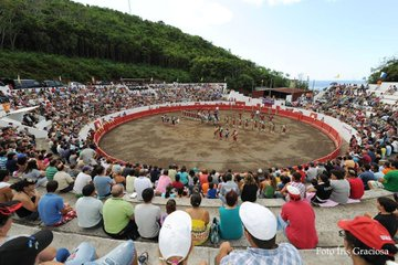 ForosToreros tweet media