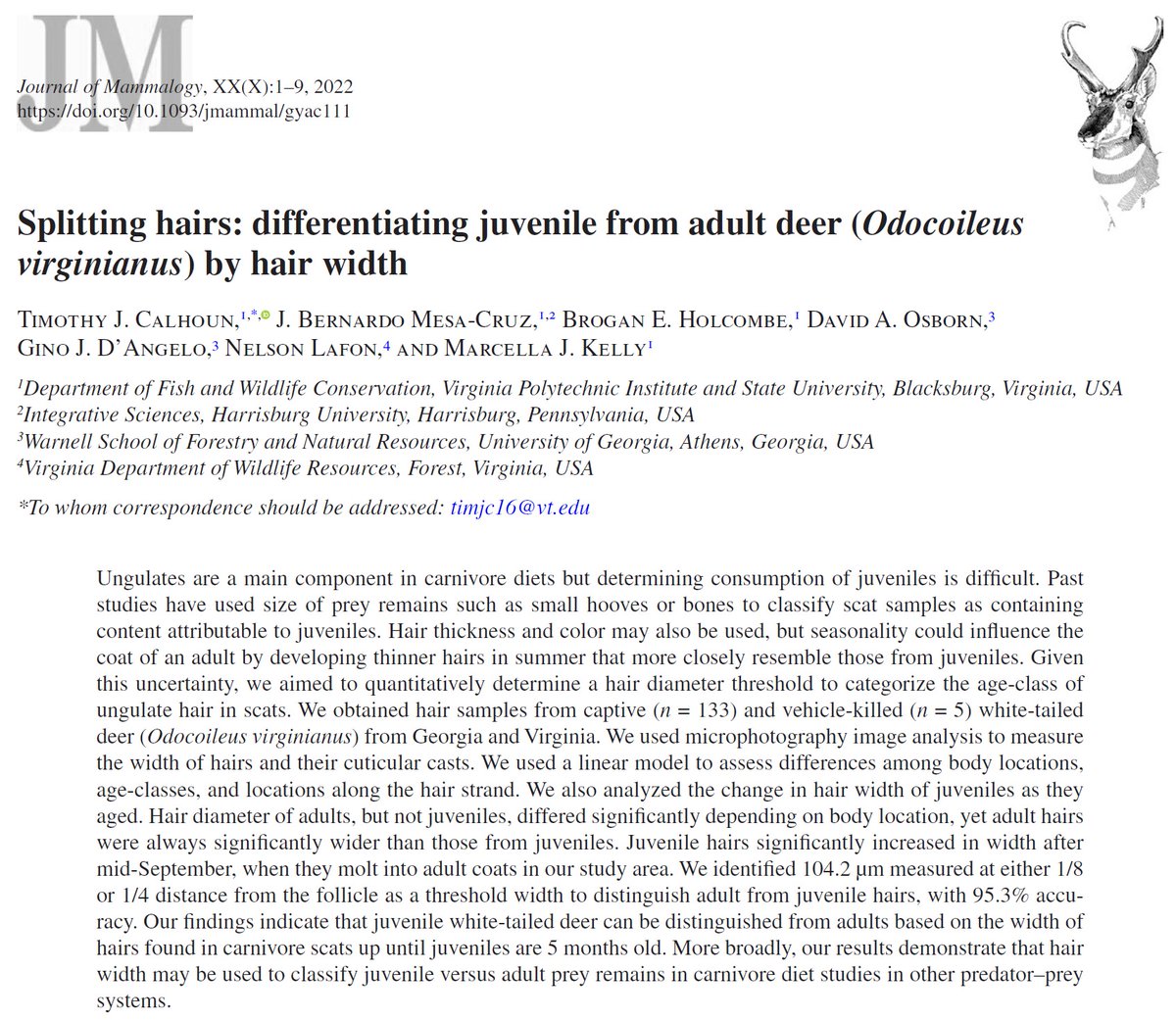 Started this paper forever ago. It's finally out! Yes-you can tell fawns from adults by the width of their hairs. Important when analyzing hairs found in carnivore scats! Shout out for <a href="/vt_fishwild/">VT FISHWILD</a> undergrad research turning into published paper <a href="/whapavt/">WHAPA Lab</a>