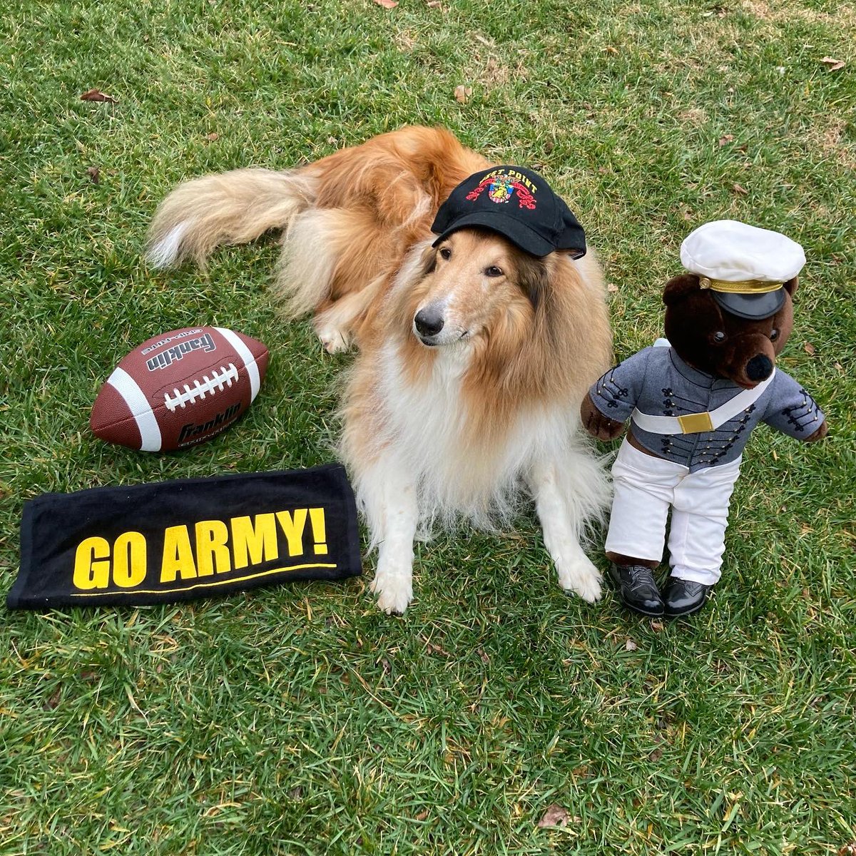 CollieCrusader's tweet photo. ๐ Itโs time for the #ArmyNavyGame ๐
#LetsGoArmy #GoArmyBeatNavy
#westpoint #armynavy #footballrivalry #collegefootball @WestPoint_USMA #collegefootballrivalry https://t.co/YR5TGMZb15