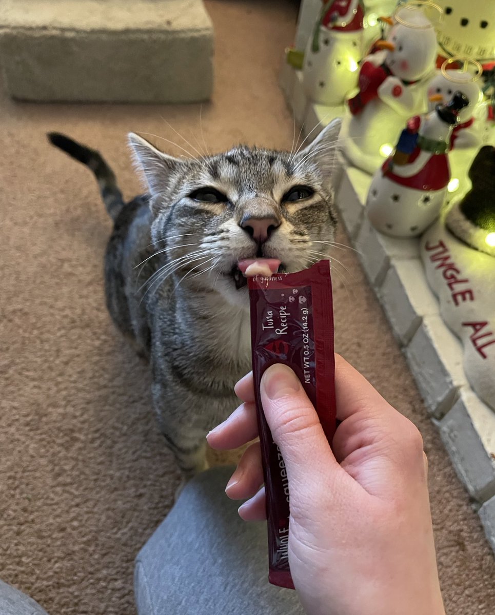 feederofcats's tweet photo. sometimes people who don't deserve good things get good things https://t.co/wShnUGN3jA