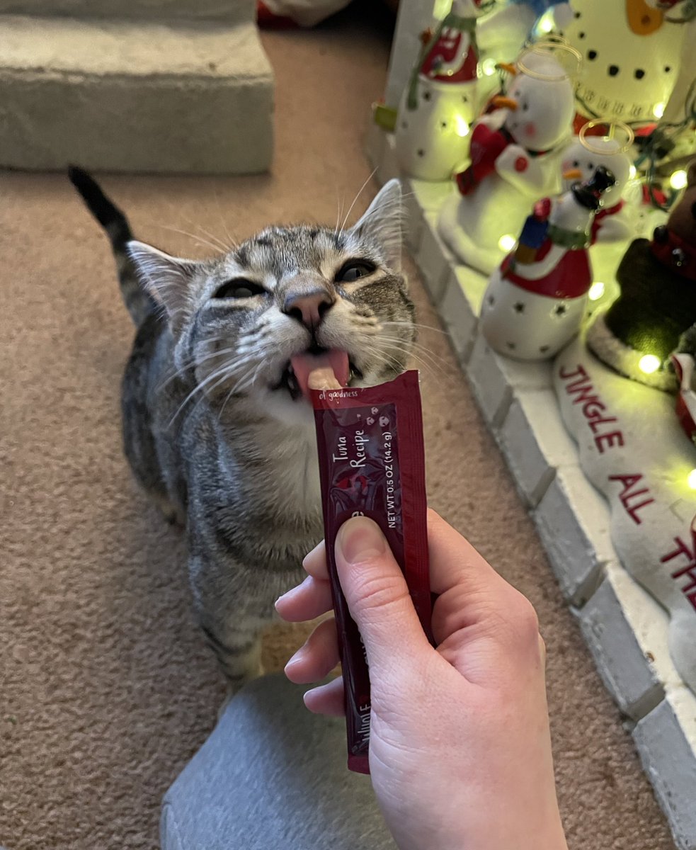 feederofcats's tweet photo. sometimes people who don't deserve good things get good things https://t.co/wShnUGN3jA