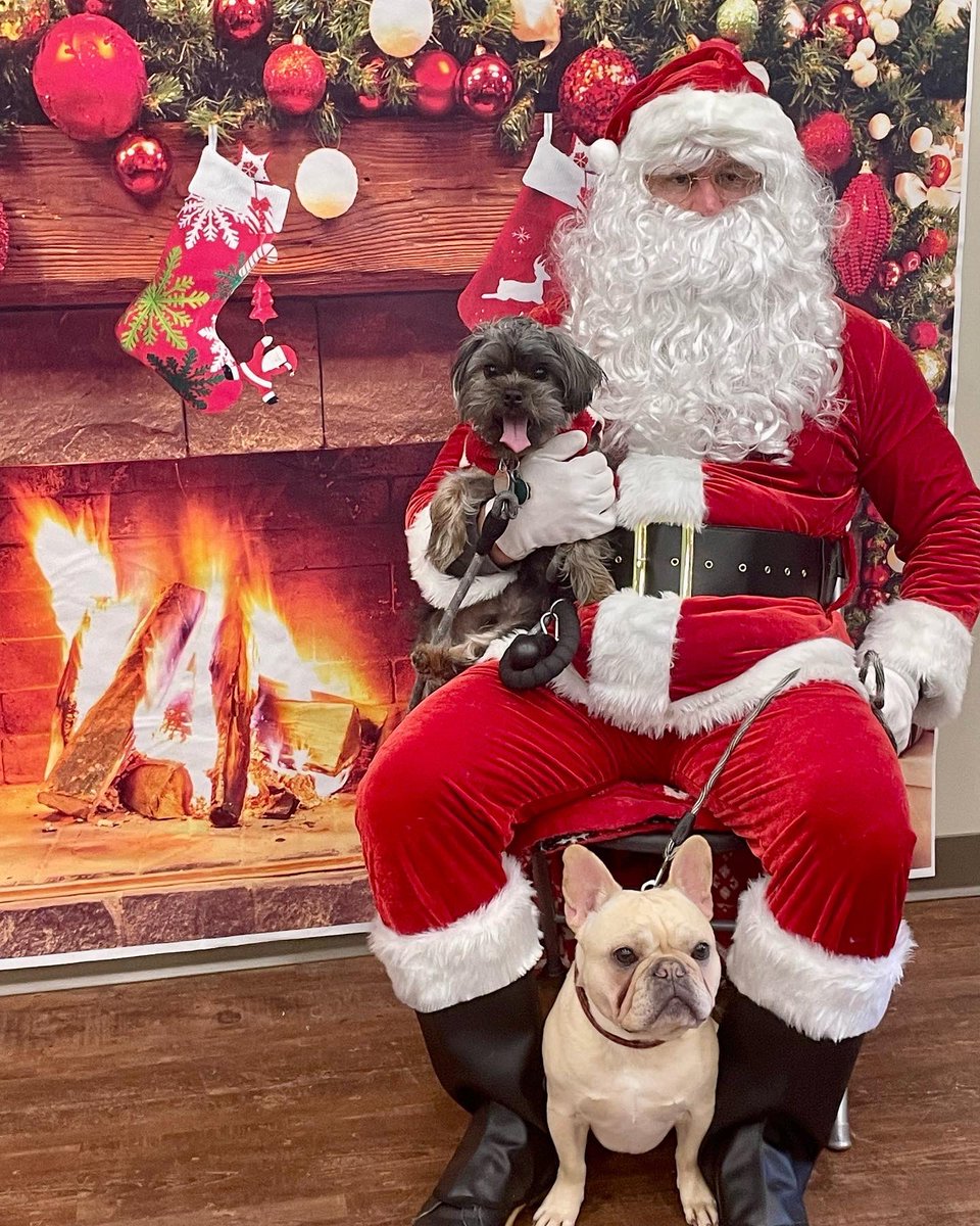 Supporting a local Avon business (WAGS pet store) and introducing Teddy to Santa for the first time with his bestie!