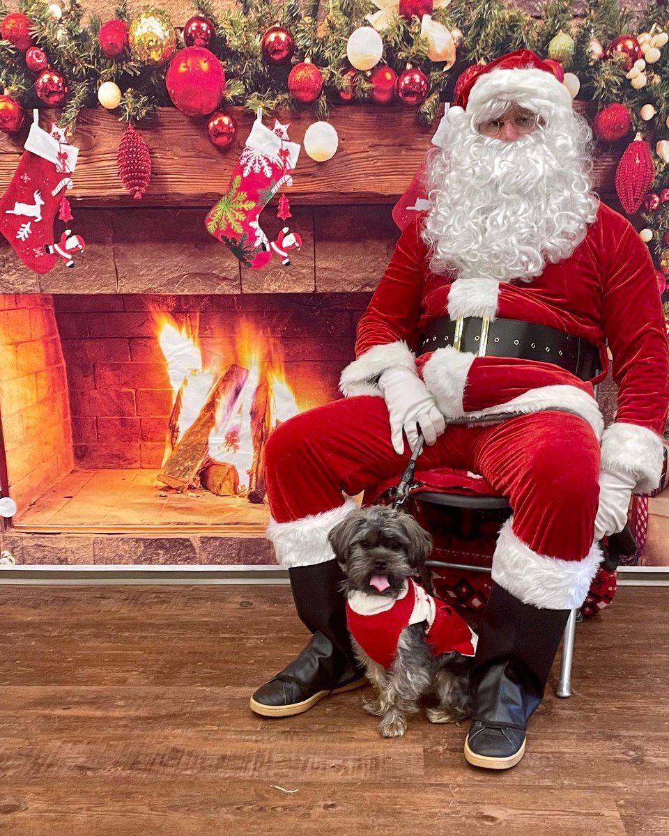 Ms. Wallace tweet media