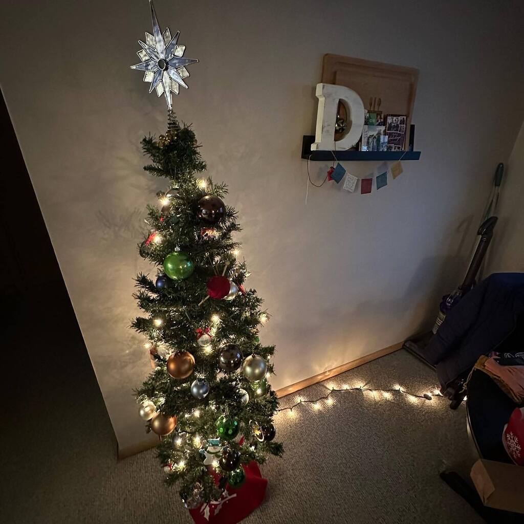 I don't think I've put a Christmas tree up since 2018?! It got complicated with feline accessories and space but today I was just sitting here thinking, "dang it I'm ready for some freaking joy." So I moved some feline furniture and made a spot for joy. … instagr.am/p/CmAQyjwJfFX/