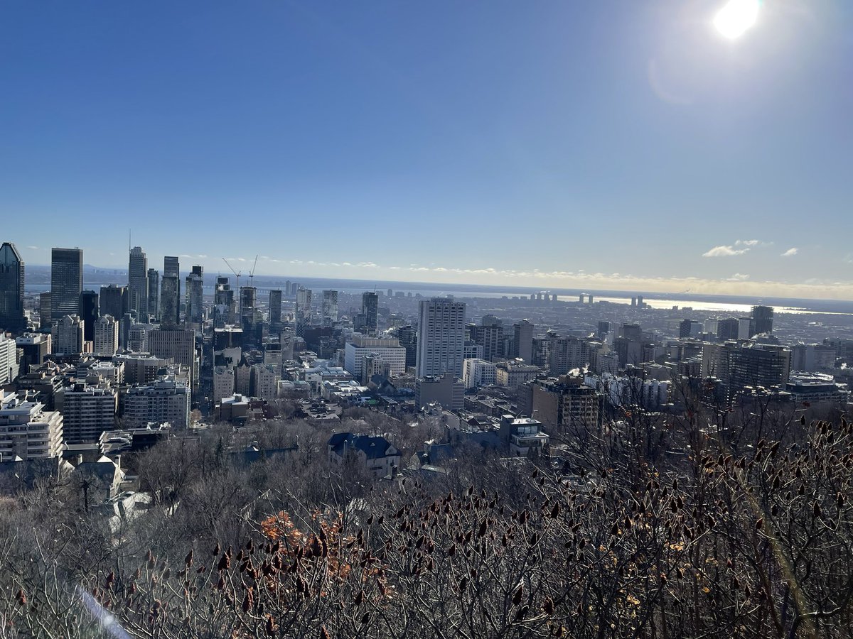 At #COP15, took a break from the enormous (and vibrant) convention center dialogue on conserving biodiversity to visit the star of the show - nature herself - at Mount Royal Park (Montréal). Feeling grateful to all those protecting the natural world that sustains us.