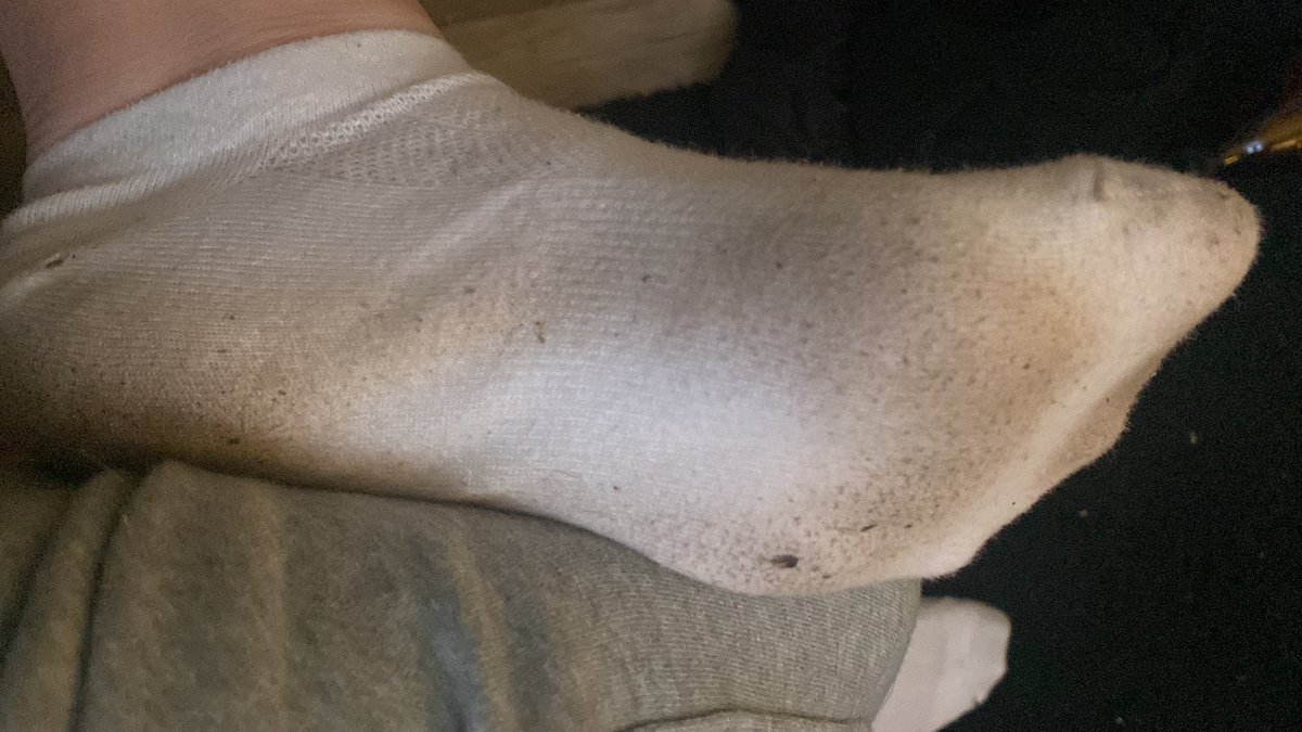 herrin_Sara03's tweet photo. Ich weiß das du Opfer darauf stehst und ich bin immernoch in Melk Laune nehme heute Amazon Gutscheine an also anschreiben und abdrücken du Hund 😌🐶 #findom #fendom #füße #fuß #geldsklave #geldherrin #goddess #hund #loser #opfer #sklave #slave #königin #herrin #göttin https://t.co/rVN2GiLb9w