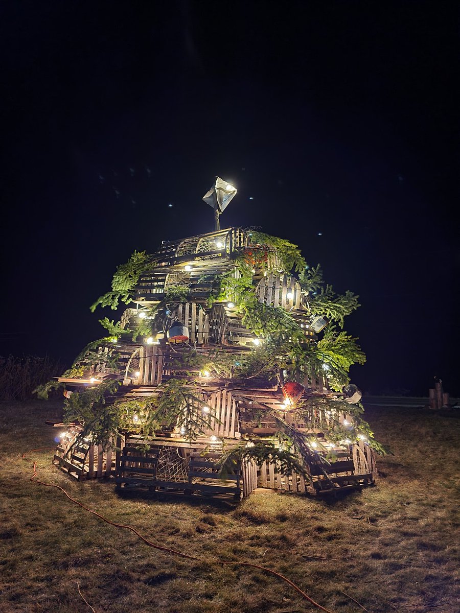 Lobster Trap Christmas Tree in Felix Cove. Our family tradition for the past few years is to help Peter build this in his yard.  He fished with these traps for many years. Best wishes from Felix Cove! #nlfishery <a href="/TheBroadcastCBC/">The Broadcast</a> <a href="/BerniceCBC/">Bernice Hillier</a> <a href="/FFAW_Unifor/">FFAW-Unifor</a>