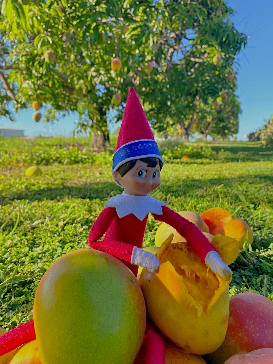 Corteva AUS tweet media