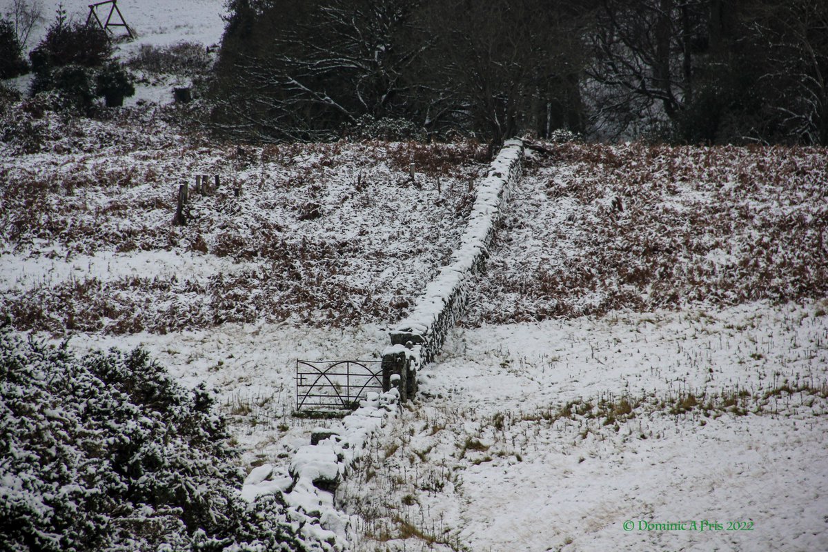 dominicprice105's tweet photo. The Way is Open - old iron gate on a dry stone wall between Larch Hill &amp; #Tibradden Mountain, County #Dublin #sneachta https://t.co/EXV1J0RGBL
