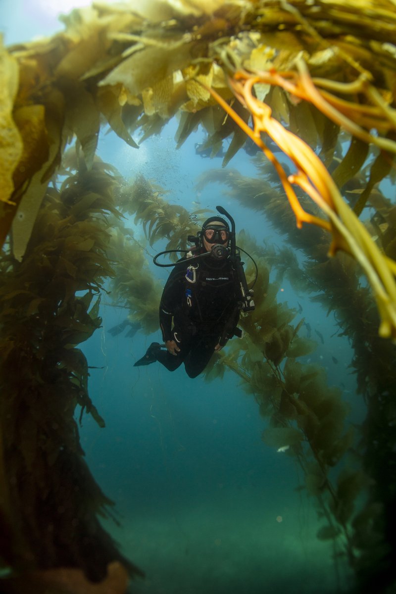 PADI's tweet photo. Get a free subscription to Scuba Diving Magazine, discounts on PADI eLearning courses, free PADI reActivate online refresher course, free DAN prepared diver course, and more! Discover the ever-expanding benefits available to you when you join #PADIClub 🙌🏼

https://t.co/xXgcV0MEQu https://t.co/o6HNQ0eP74