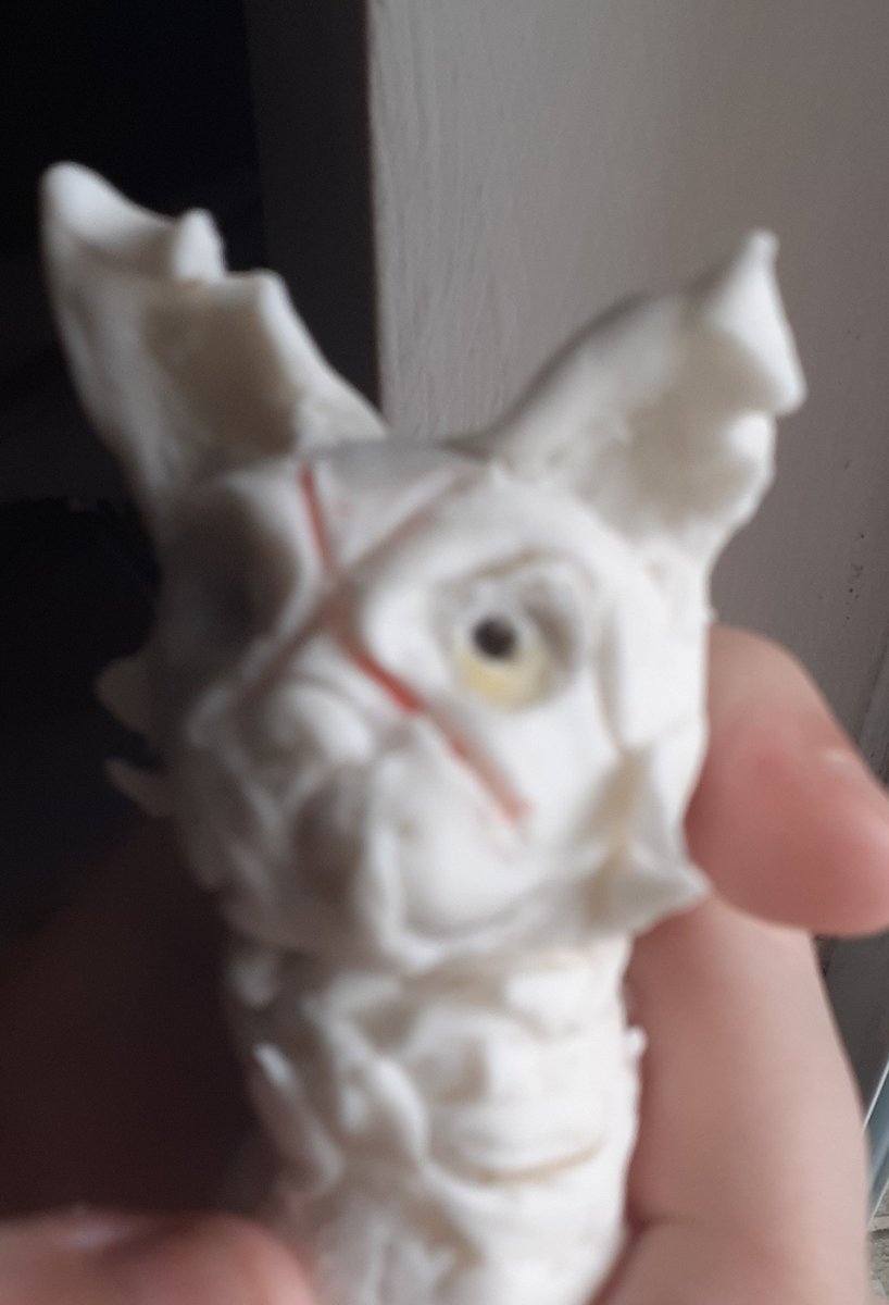 Zanicos's tweet photo. nao me sigam ru nn posto nada e nn interajo cm ngm ao inves disso veja esse gato q parece o buck q eu to fazendo https://t.co/JekWmr6BpD