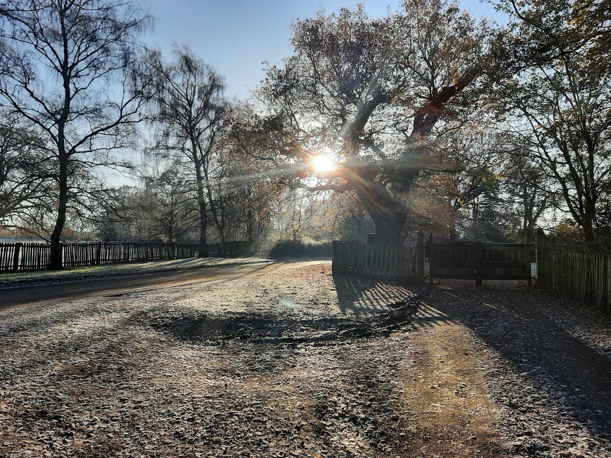 Dr Georgina Key tweet media