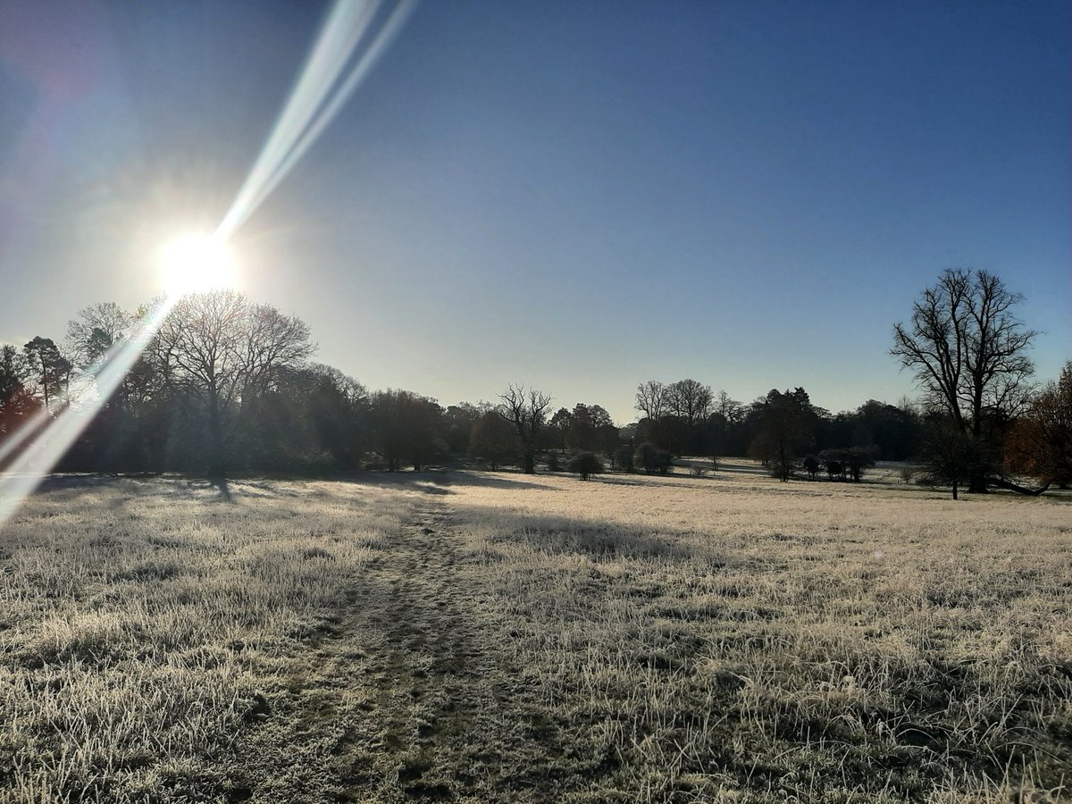 Dr Georgina Key tweet media