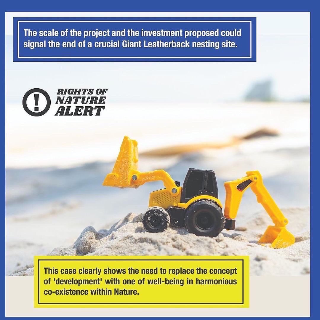 rontribunal's tweet photo. ‼️ The scale of the project and the investment proposed could signal the end of a crucial Giant Leatherback nesting site.
#RightsofNatureAlert https://t.co/5Ro2QI988m