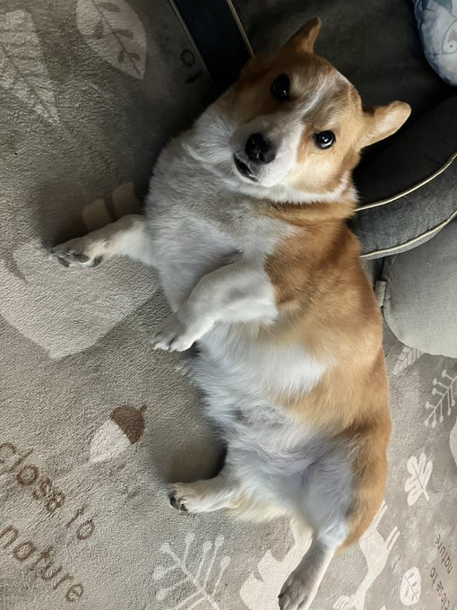 おはようございます。 