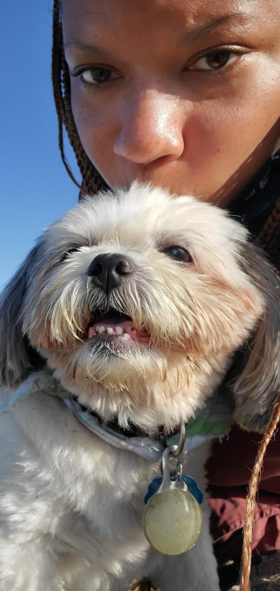 O H Bennett tweet media