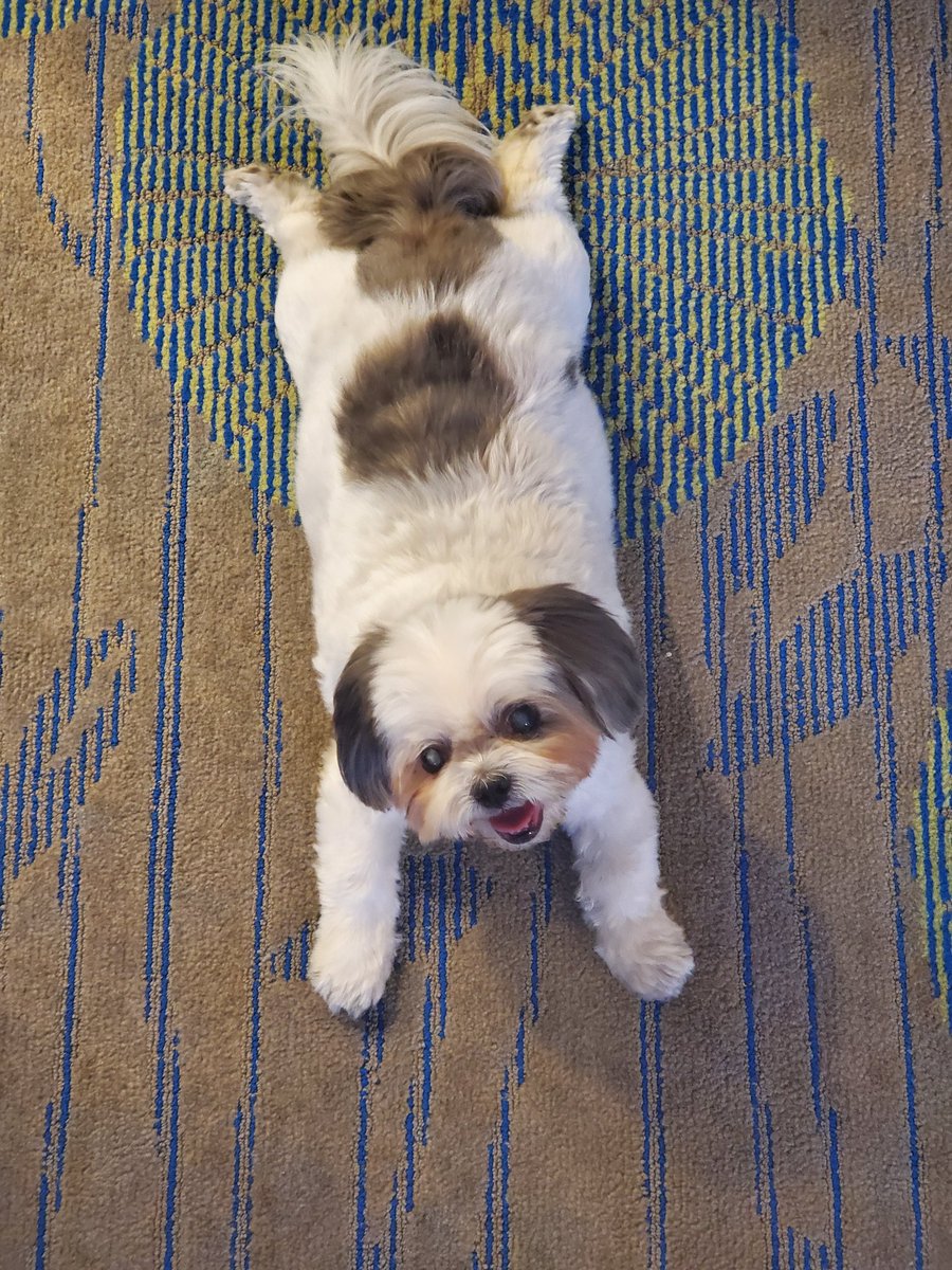 O H Bennett tweet media