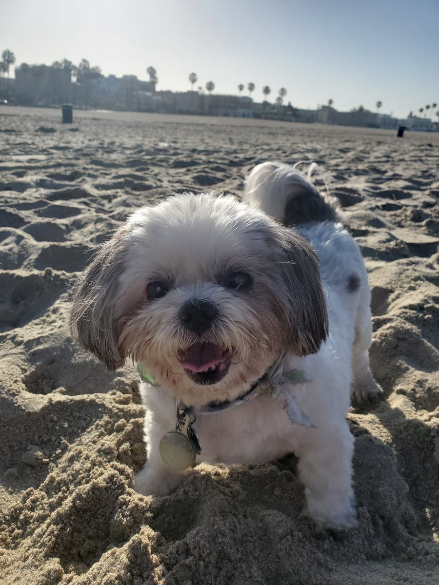 O H Bennett tweet media