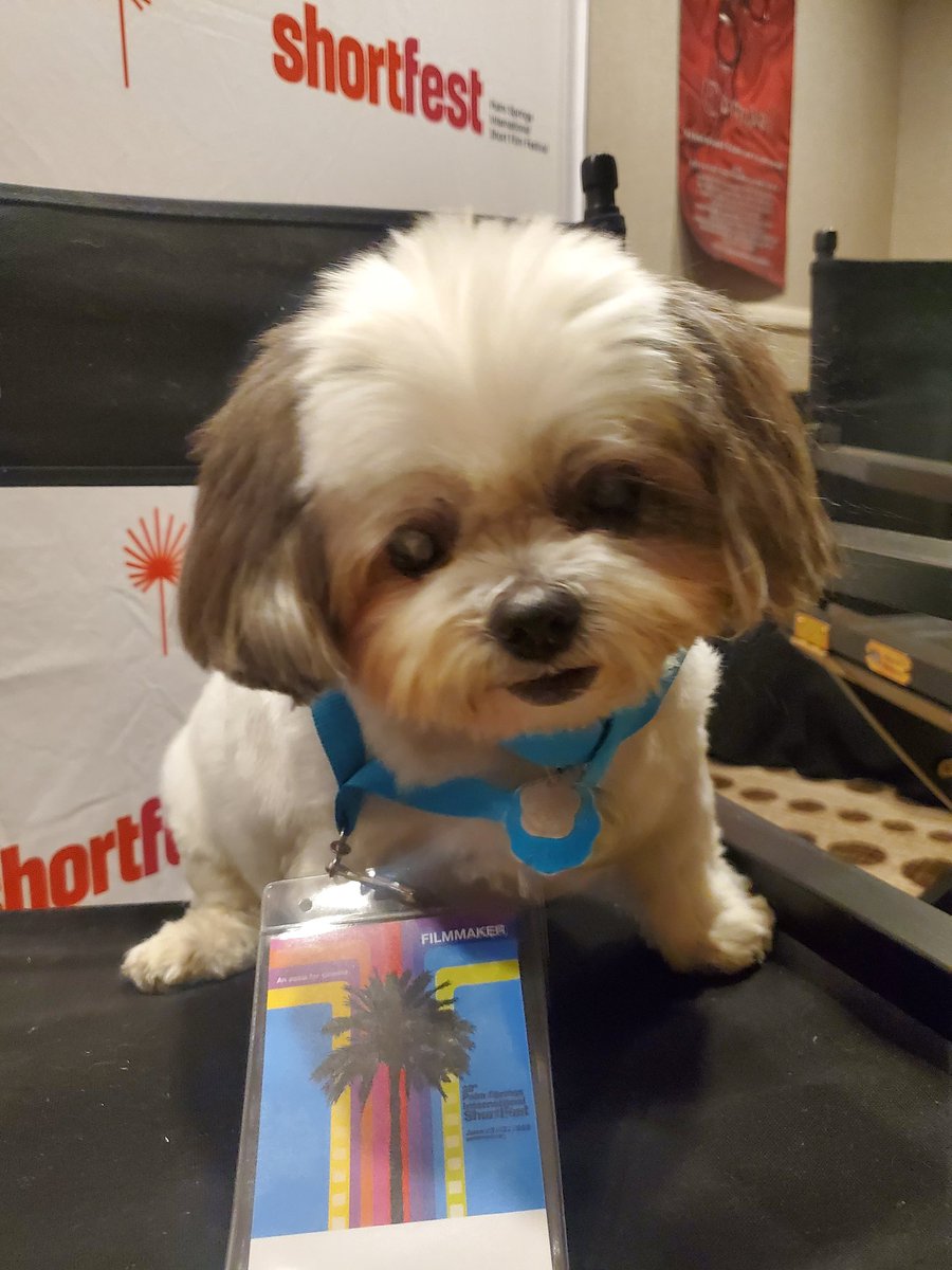 O H Bennett tweet media