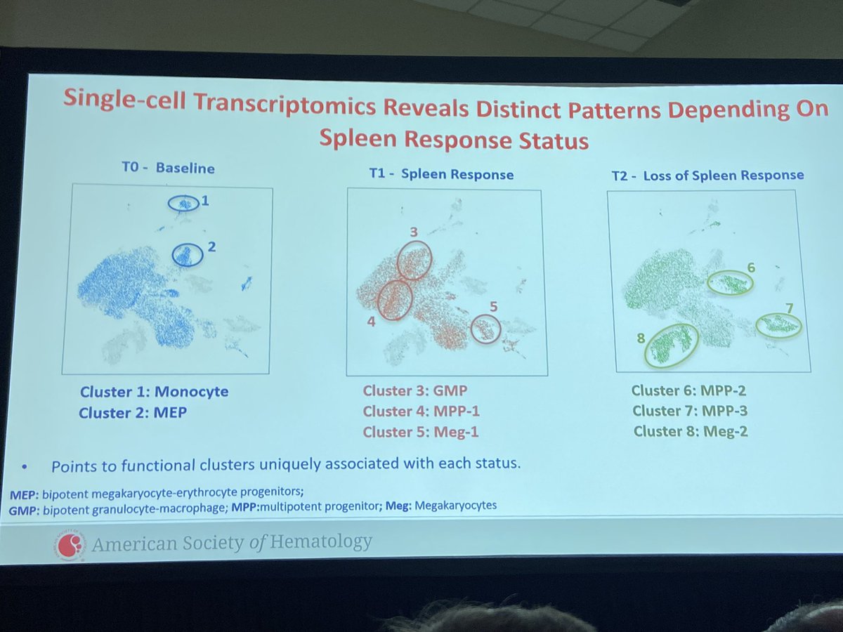 doctorpemm's tweet image. #ASH22 #MPNSM oral session. Dr Paola Guglielmelli - comprehensive outstanding advanced analysis - #SinglecellTranscriptomics #Cytokines #RASpathway