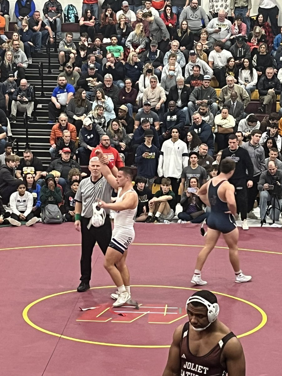 Stallion Wrestling tweet media