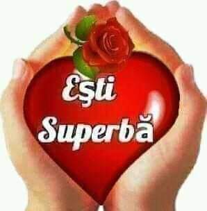 AurelMaurel1's tweet photo. @ElenaaFeli https://t.co/zRzLoZd8xl