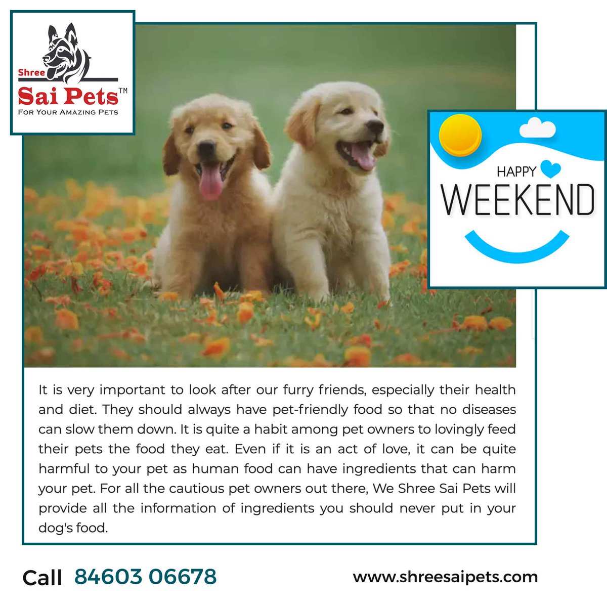 ShreeSaiPets's tweet photo. Happy Weekend - Pet Health ๐ถ๐ฑ๐ฆ
#Food #Fashion #PetServices #PetsTraining #PetsGrooming #AmazingOffers #Offers #PetNeeds #PetHappiness #puppy #PetStore #love #catlovers #grooming #catlover #ShreeSaiPets #PetProducts #PetShop #petslove
WhatsApp: https://t.co/O9zXU6l9C5 https://t.co/iujGmwlEB1