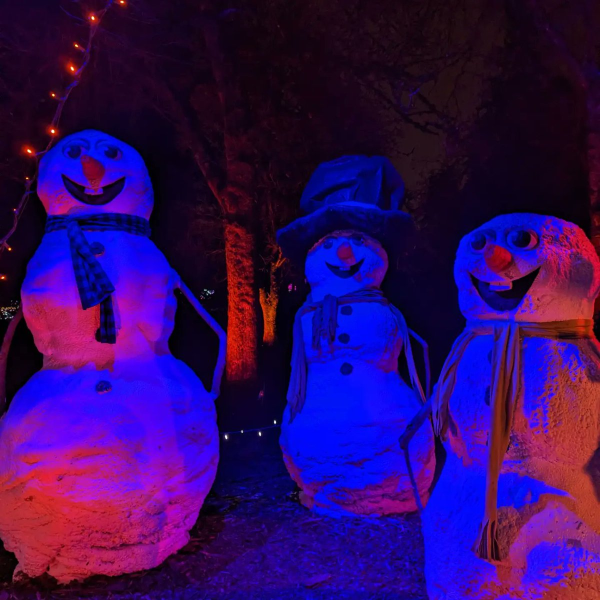 NeerIlin's tweet photo. Lights! #FestivalOfLights #Vancouver #Vandusen https://t.co/EjdFZ6YxoO