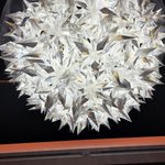 ツイートに含まれる画像