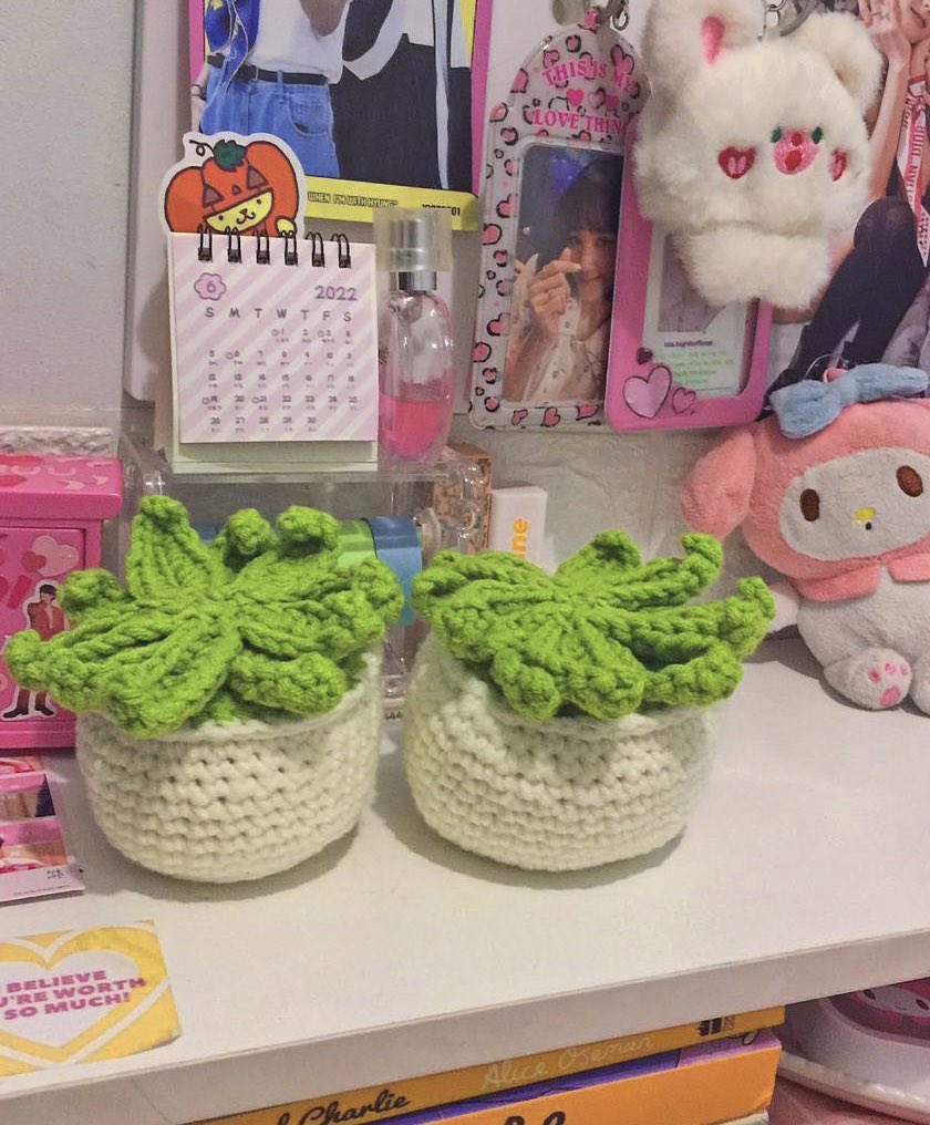 iloveuserchuu's tweet image. 🍃giveaway  

— plant crochet 
— one winner ! must handle sf 
— like and rt 
— mbf ( optional ) 

will end anytime