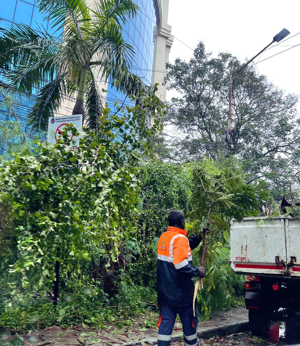 apsonthego's tweet image. Great work done by @chennaicorp ❤️ no signs of damage in the city, extremely swift action! #chennairains #MandousCyclone #soproud 👏🏻👏🏻