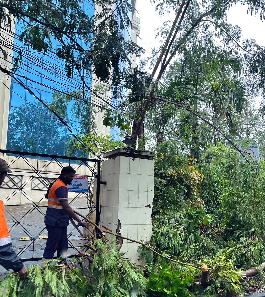 apsonthego's tweet image. Great work done by @chennaicorp ❤️ no signs of damage in the city, extremely swift action! #chennairains #MandousCyclone #soproud 👏🏻👏🏻