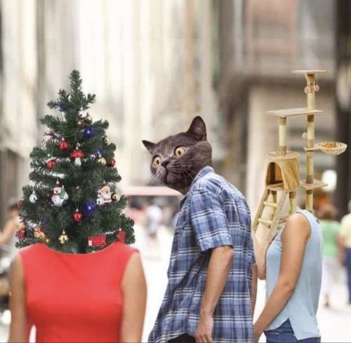 Patrick Scott Patterson tweet media