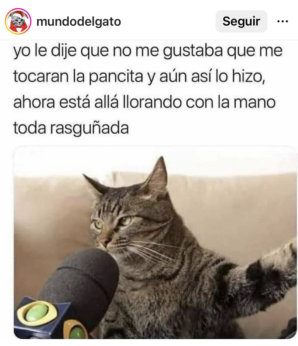 HistGatunas's tweet photo. Yo le dije que no me gustaba… https://t.co/NfJ76CS0rk
