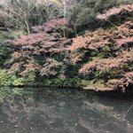 ツイートに含まれる画像